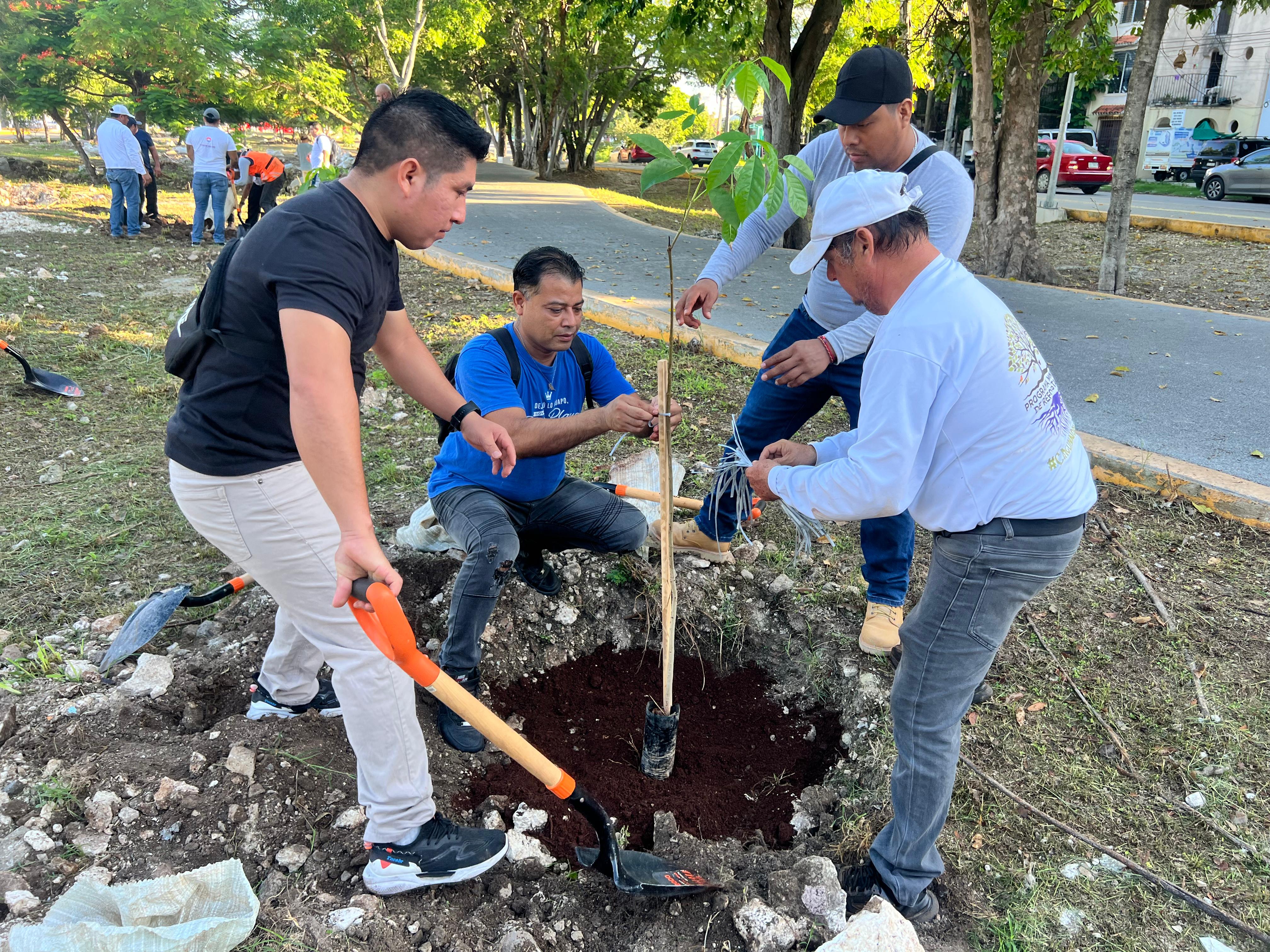 uploads/6/32/01 (2348).Jpeg